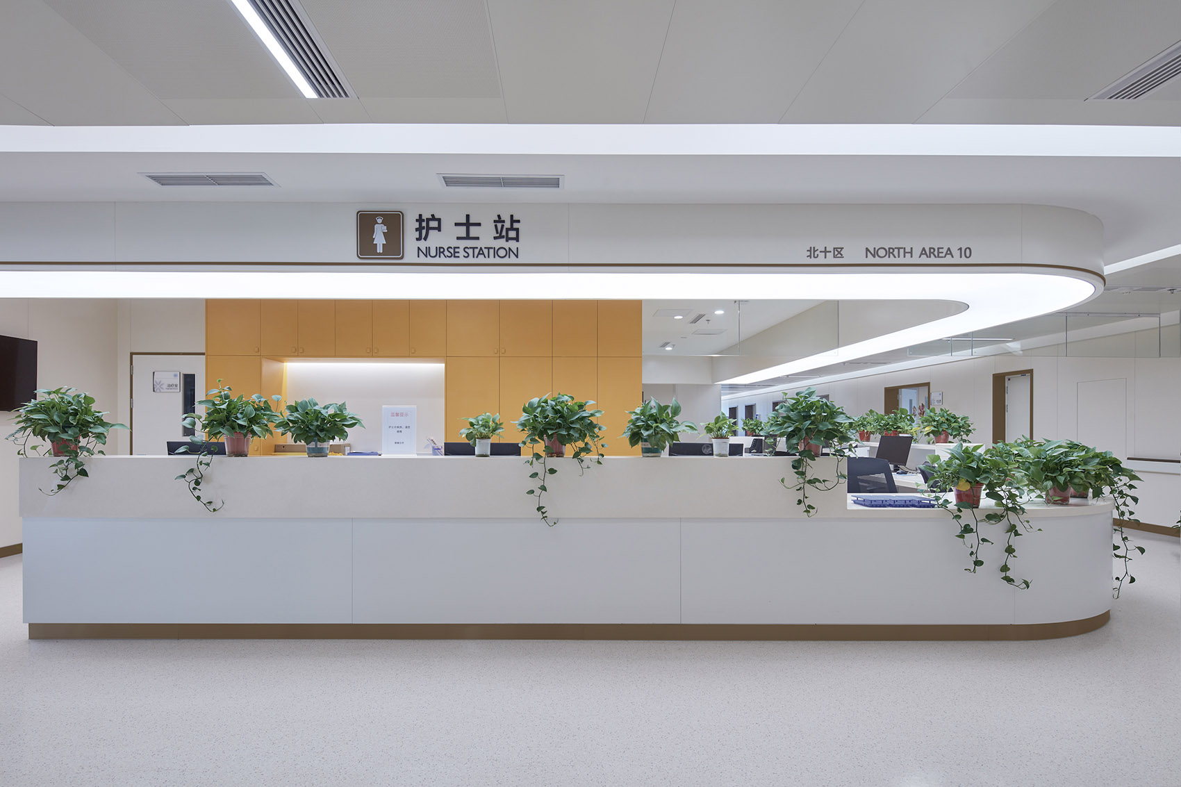 阿姆斯壮洁净龙系列 - 养老领域 - 雨辰建材